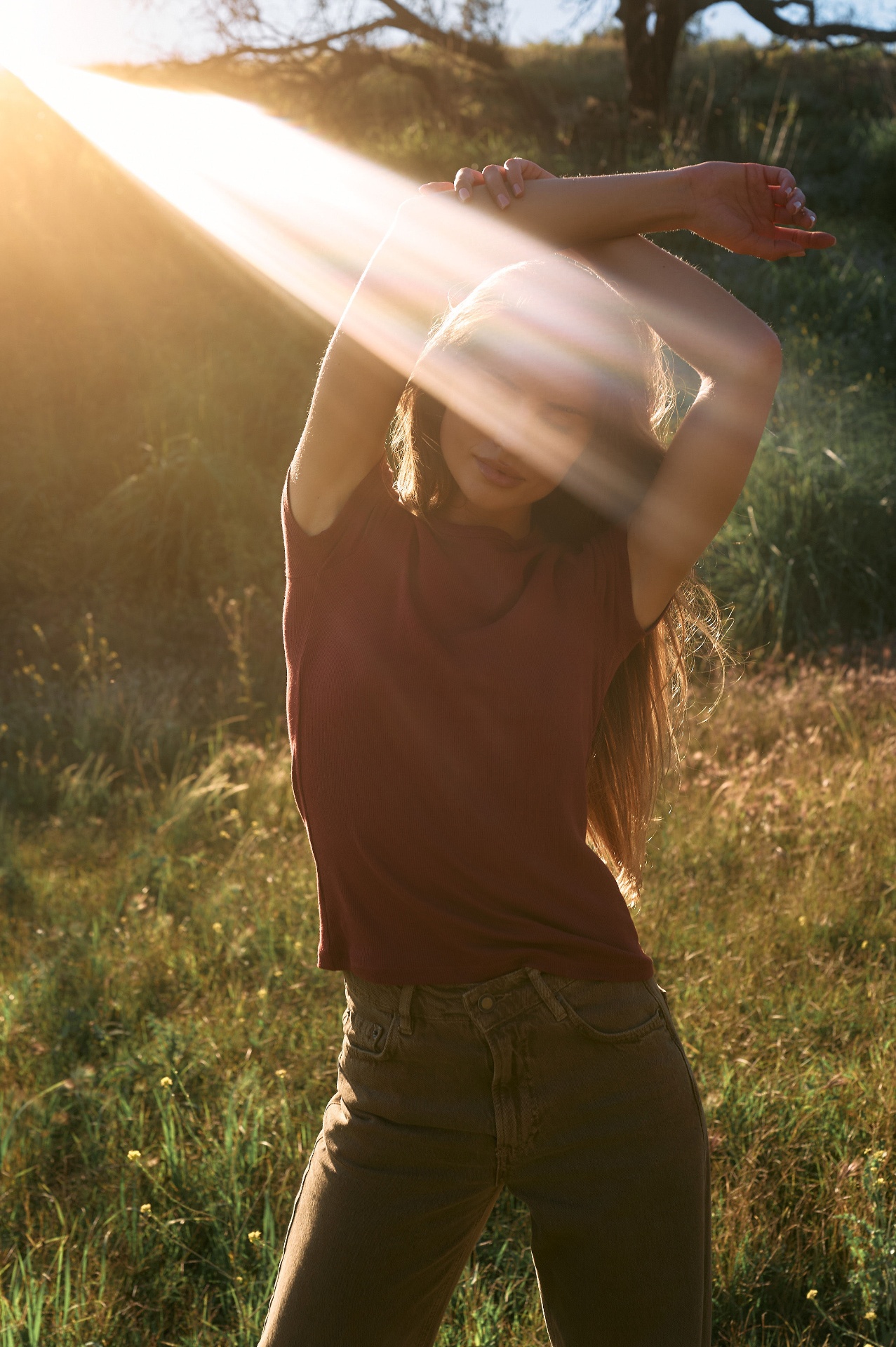 Sunlit portrait in golden field